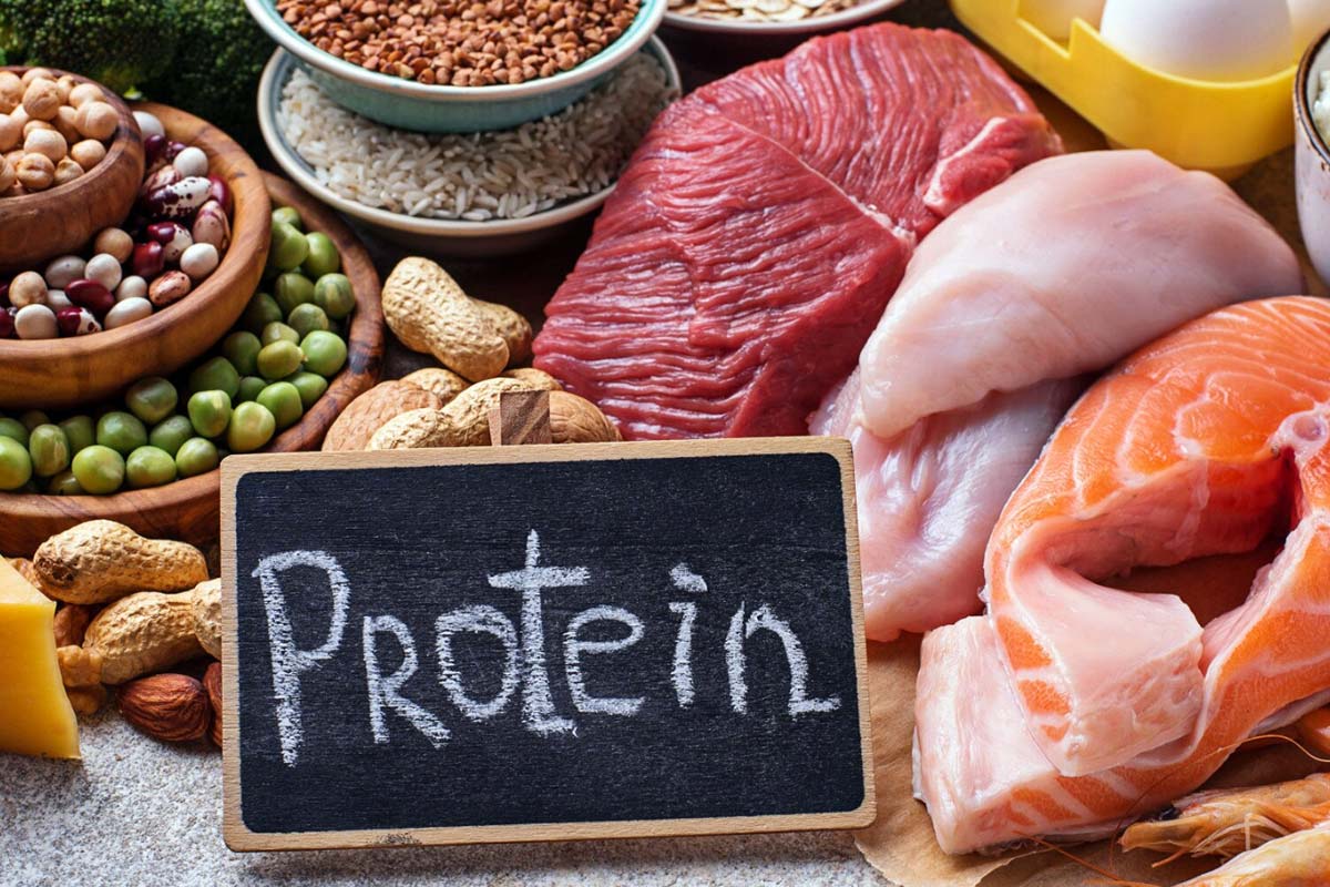 Asupan protein seimbang dinilai penting untuk menjaga massa otot, energi, dan kesehatan tubuh dalam aktivitas sehari-hari.